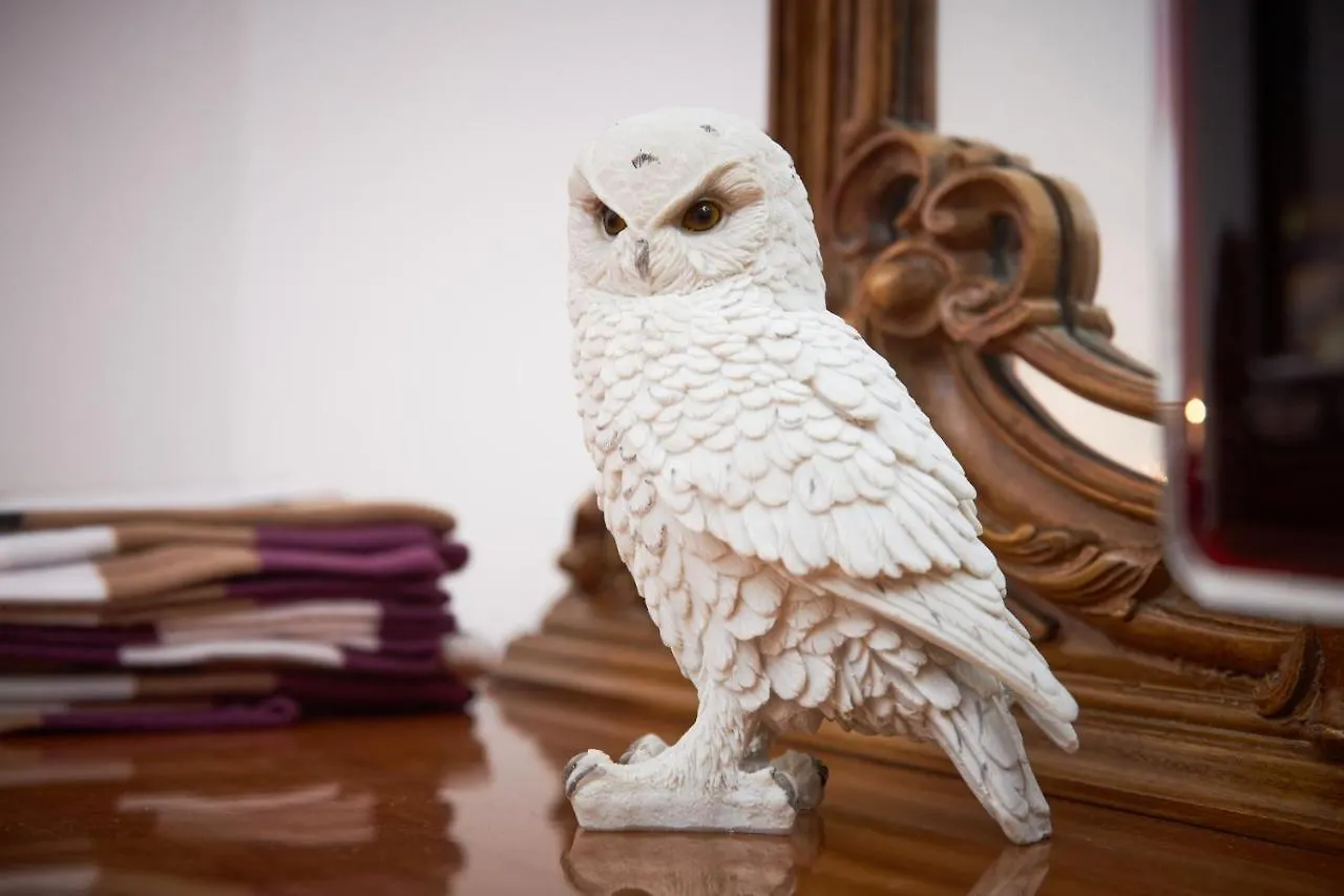 Harry Potter'S Magic House - Metro M4 - Linate - Citta Studi Apartment Milan